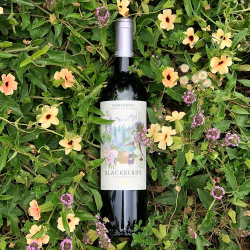 Vino de Zarzamoras (Semi seco) 750ml - Morandina