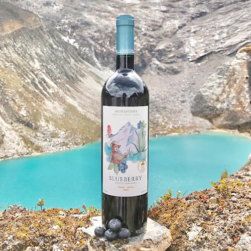 Vino de Arándanos (Semi seco) 750ml - Morandina