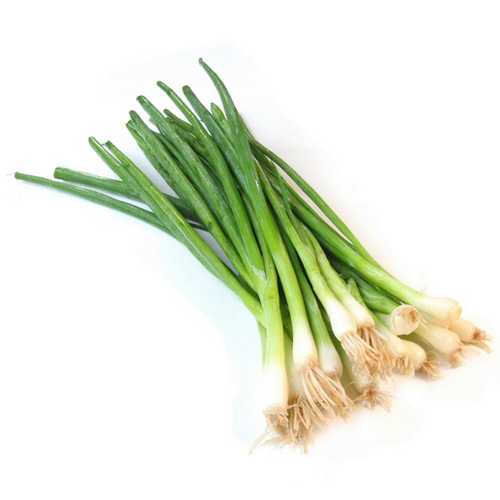 Cebolla China (Atado) - Producción Responsable