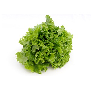 LECHUGA CRESPA VERDE UND - PRODUCCION RESPONSABLE