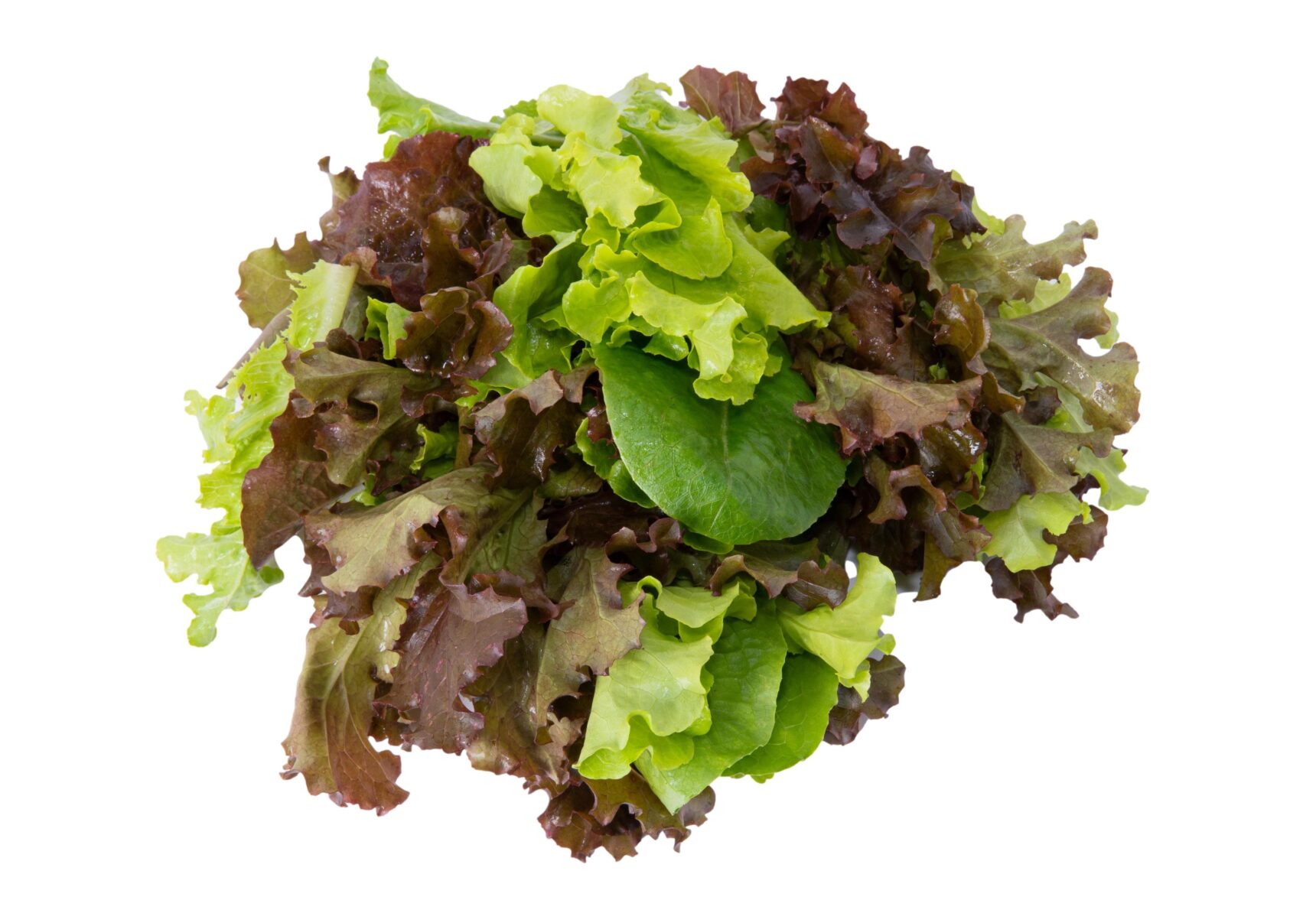 Lechuga Mix - Producción Responsable